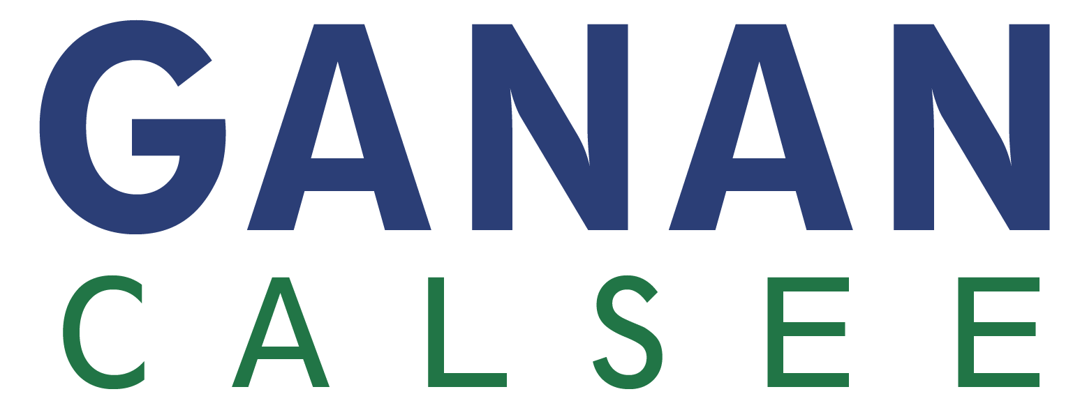 softionik-Ganan calsee logo