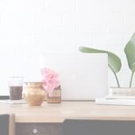 softionik-banner_slider_image_05